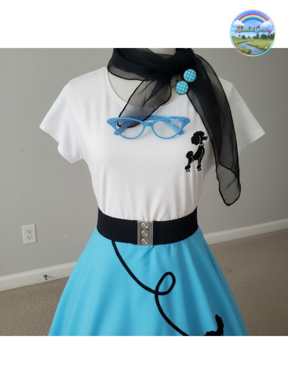 Poodle Skirt Sock Hop 50s Costume Set with Scarf and Glasses